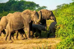 Kidepo-National-Park-Uganda2