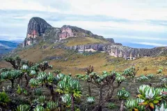 Mount-Elgon-National-Park-Uganda