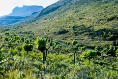 mountain_elgon_national_park