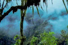 uganda-rwenzori-mountains