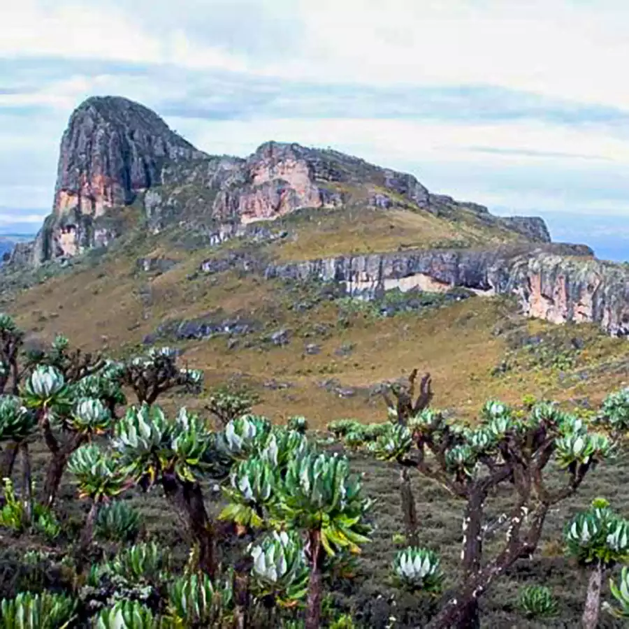 Mount-Elgon-National-Park-Uganda.webp