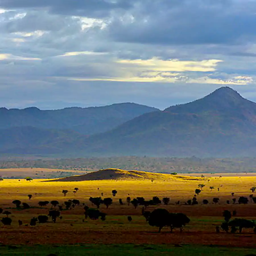 kidepo_valley_national_park