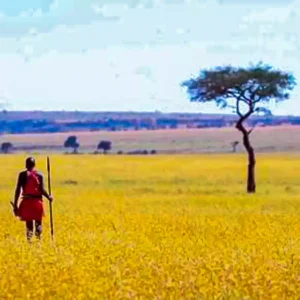 Masai Mara National Park