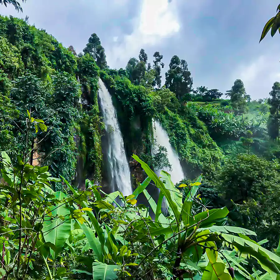 mountain elgon 1