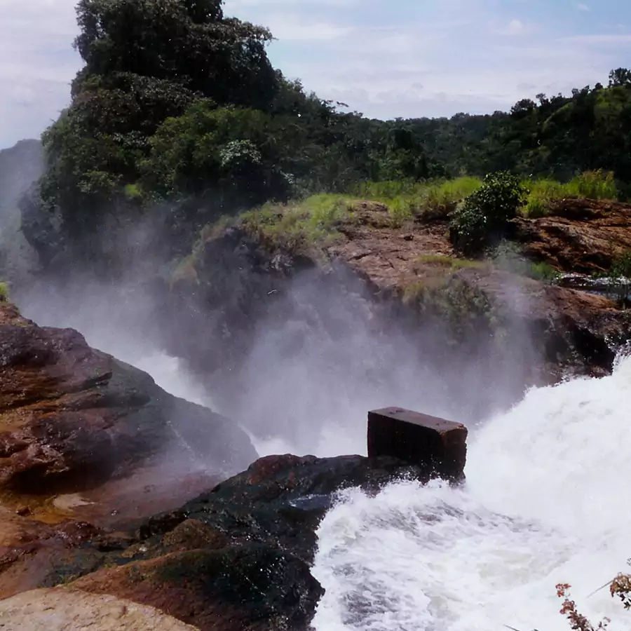 murchison_falls_national_park.webp