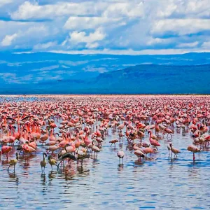 Lake Nakuru National Park