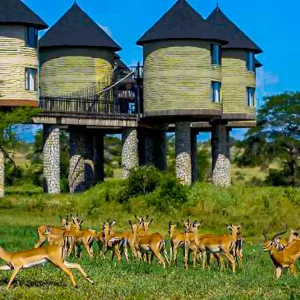 Tsavo West National Park